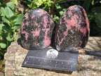 Polished Rhodonite Standing Free Forms x 6 From Ambindavato, Madagascar