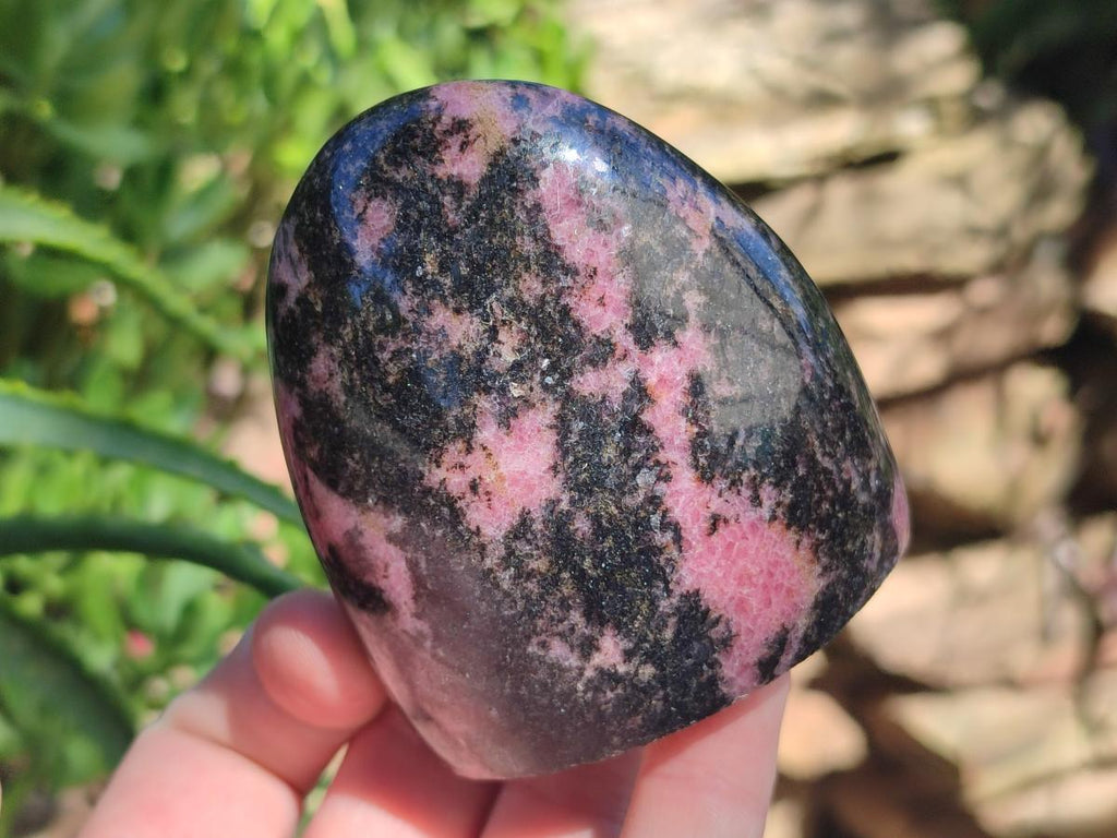 Polished Rhodonite Standing Free Forms x 6 From Ambindavato, Madagascar