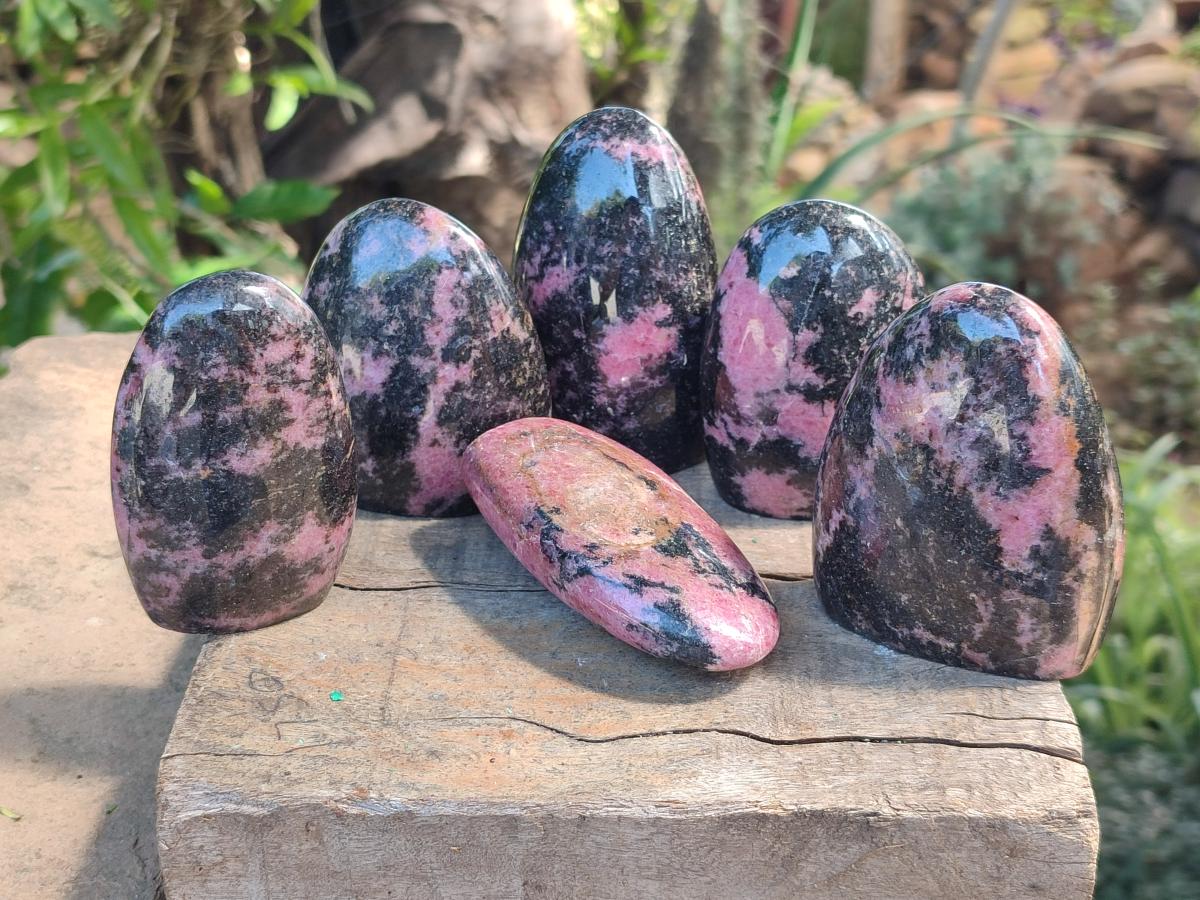 Polished Rhodonite Standing Free Forms x 6 From Ambindavato, Madagascar