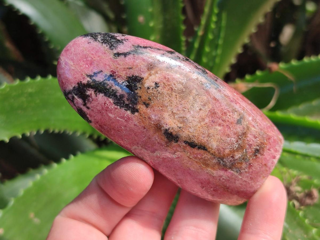 Polished Rhodonite Standing Free Forms x 6 From Ambindavato, Madagascar