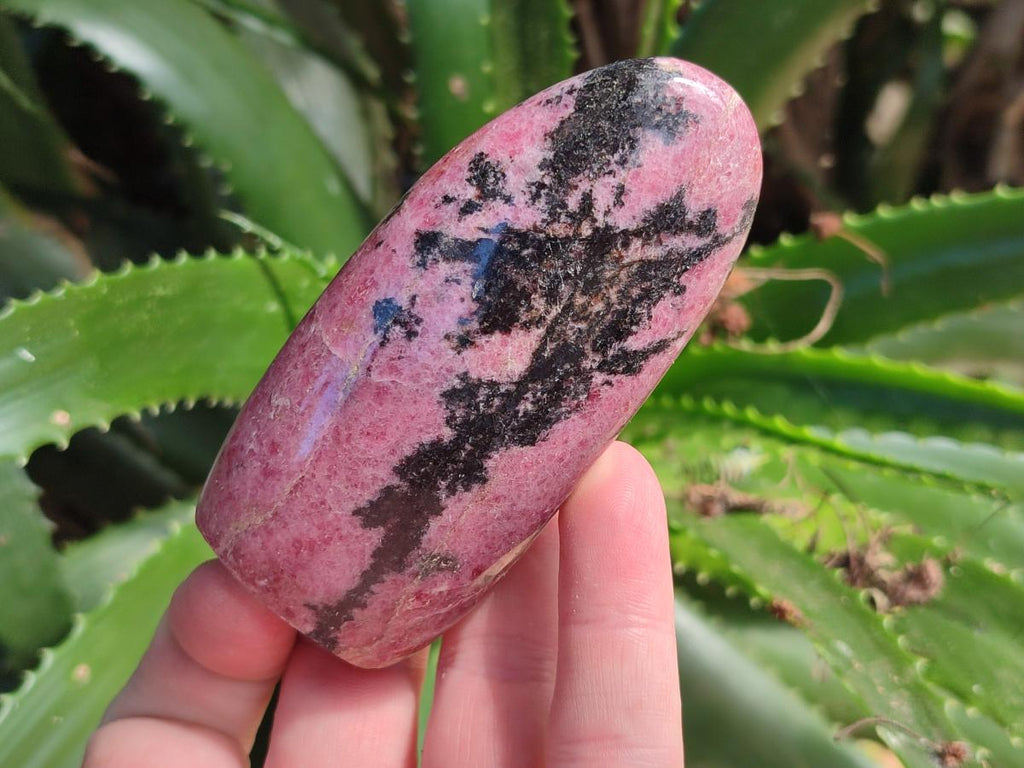 Polished Rhodonite Standing Free Forms x 6 From Ambindavato, Madagascar