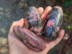 Polished Rhodonite Standing Free Forms x 6 From Ambindavato, Madagascar