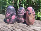 Polished Rhodonite Standing Free Forms x 6 From Ambindavato, Madagascar