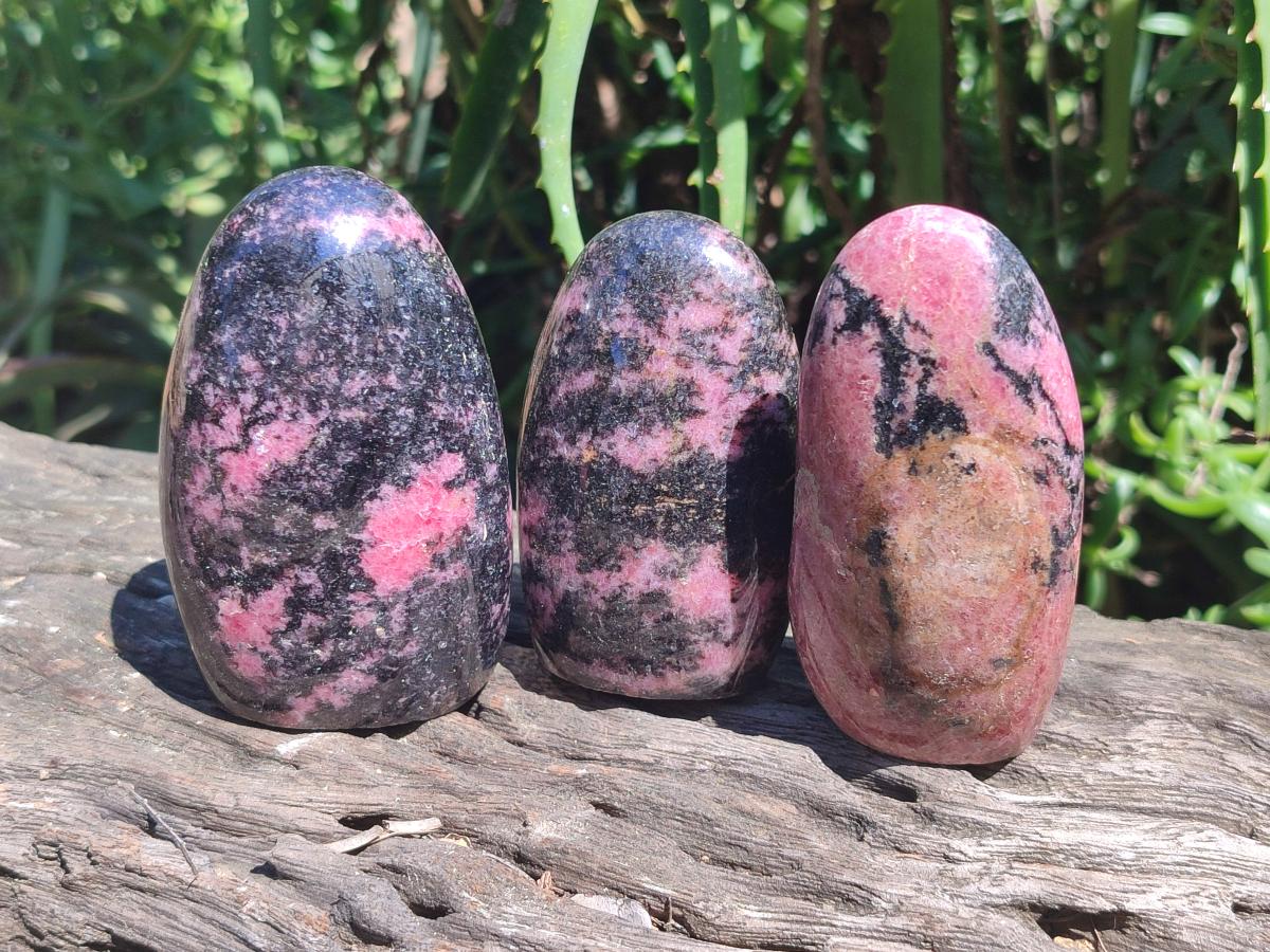 Polished Rhodonite Standing Free Forms x 6 From Ambindavato, Madagascar