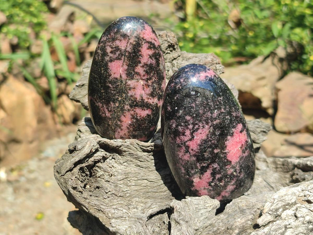 Polished Rhodonite Standing Free Forms x 6 From Ambindavato, Madagascar