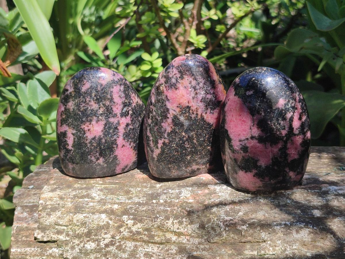 Polished Rhodonite Standing Free Forms x 6 From Ambindavato, Madagascar