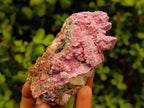 Natural Salrose Cobaltoan Dolomite with Malachite and Kolwezite Specimens x 12 From Kakanda, Congo - Toprock Gemstones and Minerals 