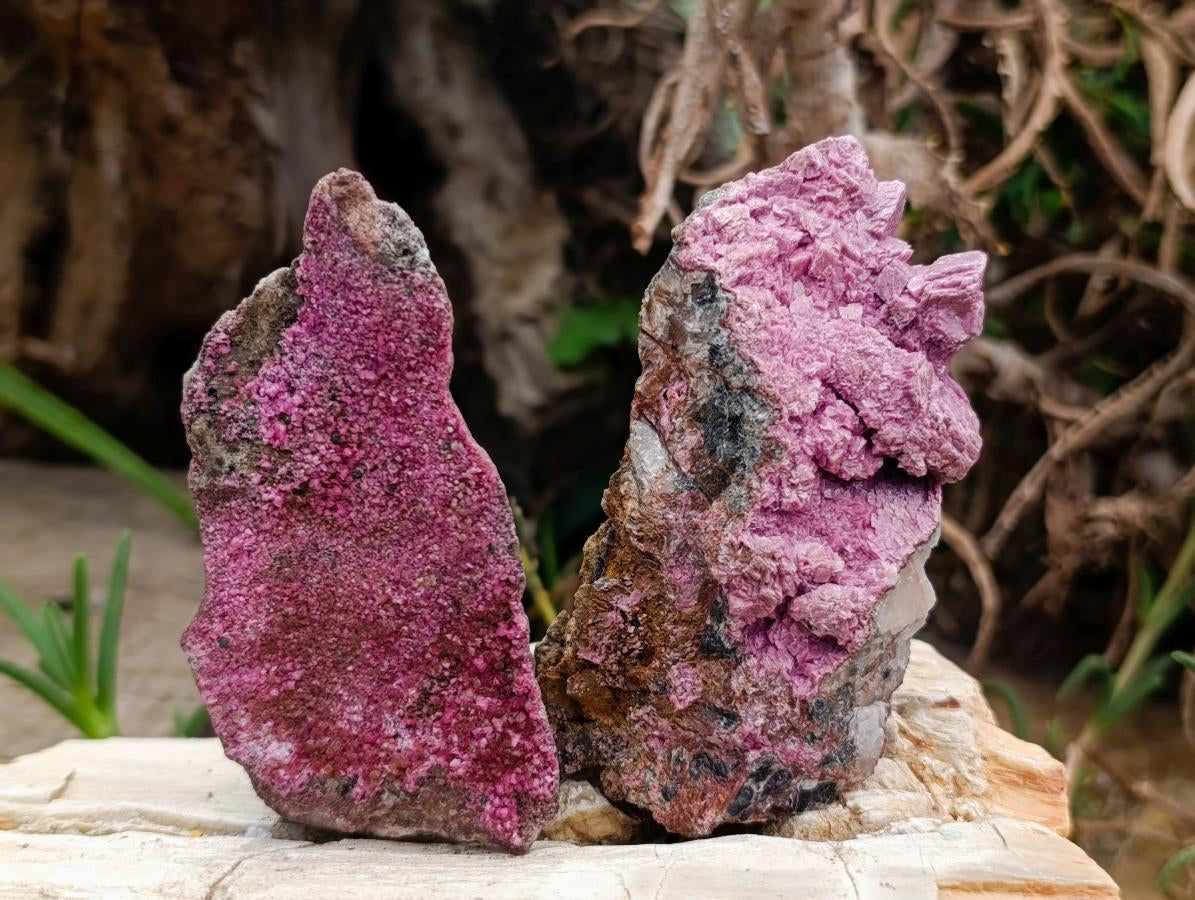 Natural Salrose Cobaltoan Dolomite with Malachite and Kolwezite Specimens x 12 From Kakanda, Congo - Toprock Gemstones and Minerals 