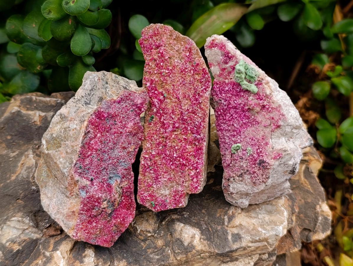 Natural Salrose Cobaltoan Dolomite with Malachite and Kolwezite Specimens x 12 From Kakanda, Congo - Toprock Gemstones and Minerals 