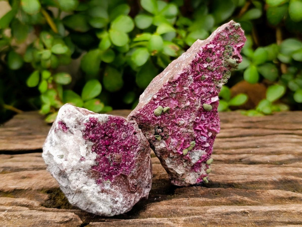 Natural Salrose Cobaltoan Dolomite with Malachite and Kolwezite Specimens x 12 From Kakanda, Congo - Toprock Gemstones and Minerals 