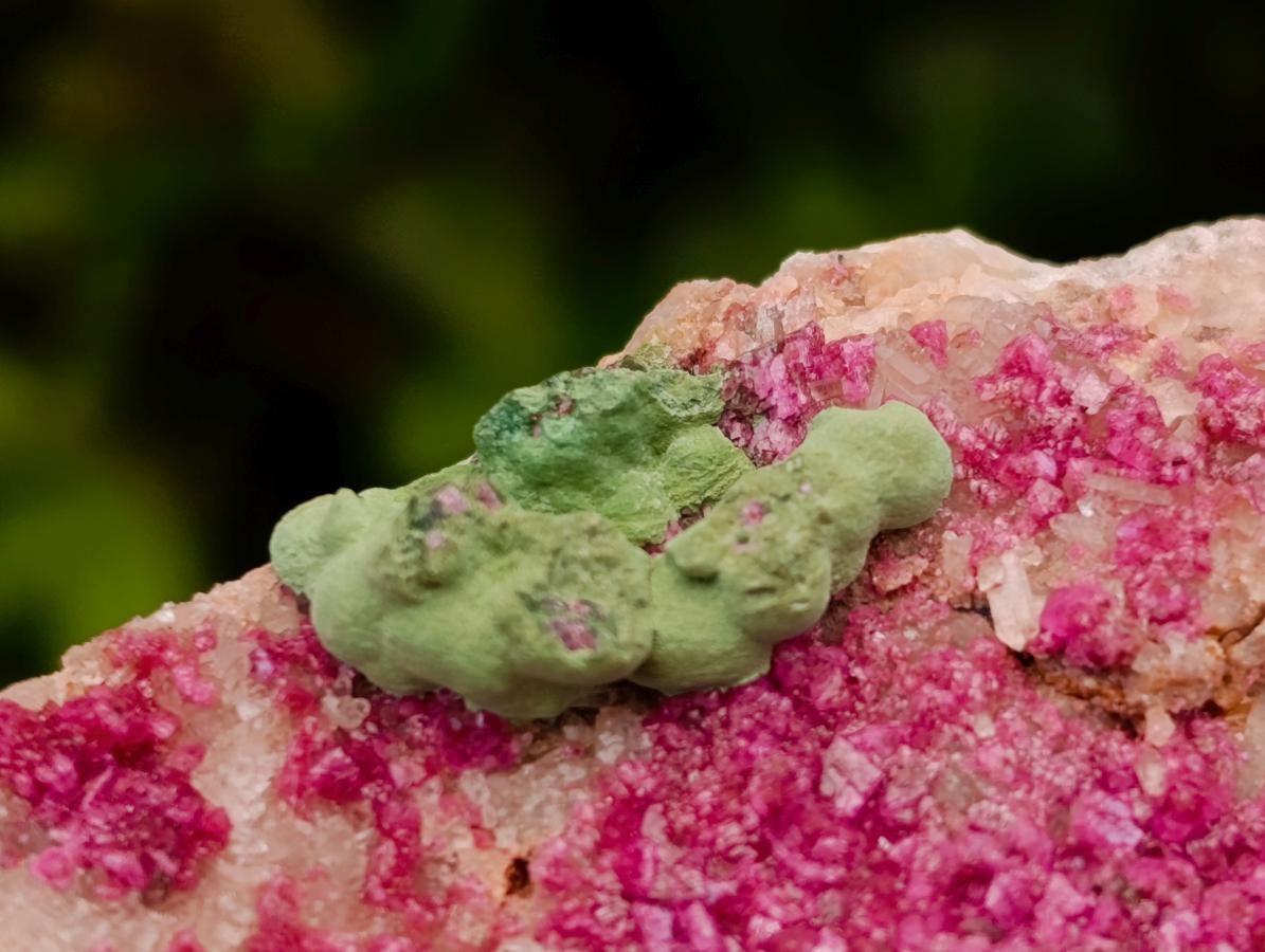 Natural Salrose Cobaltoan Dolomite with Malachite and Kolwezite Specimens x 12 From Kakanda, Congo - Toprock Gemstones and Minerals 