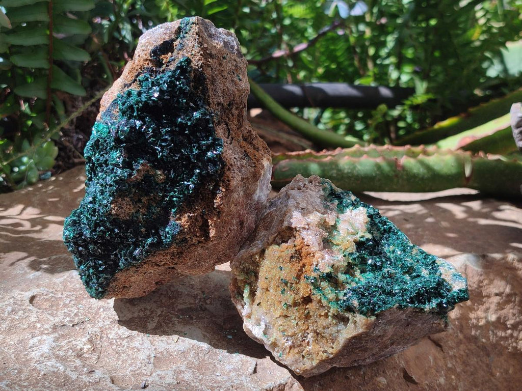 Natural Cabinet Crystalline Malachite Specimens x 2 From Tenke Fungurume, Congo