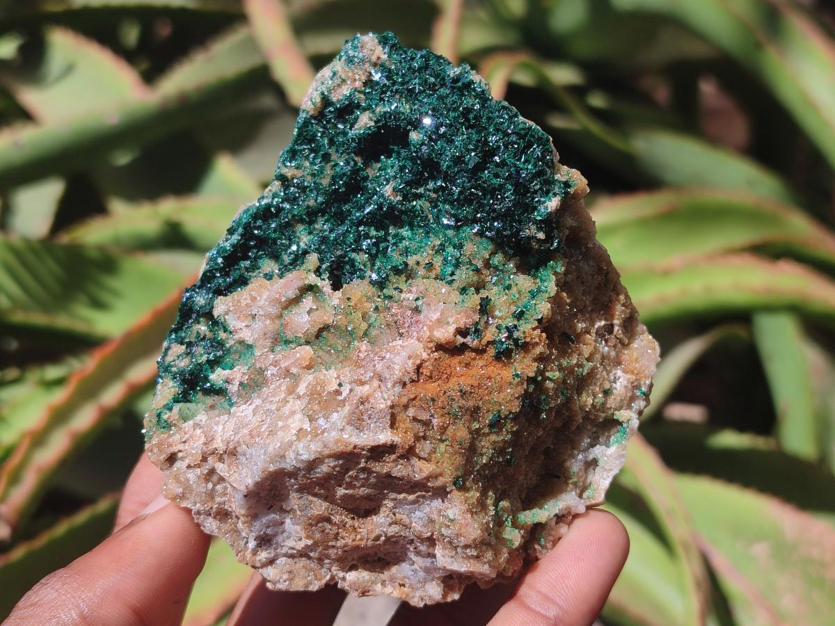 Natural Cabinet Crystalline Malachite Specimens x 2 From Tenke Fungurume, Congo