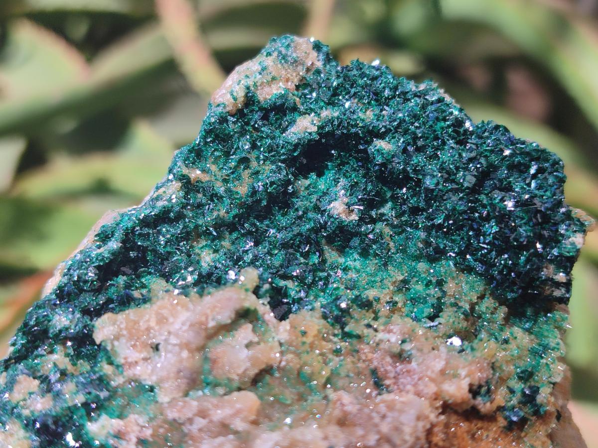 Natural Cabinet Crystalline Malachite Specimens x 2 From Tenke Fungurume, Congo