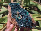 Natural Cabinet Crystalline Malachite Specimens x 2 From Tenke Fungurume, Congo
