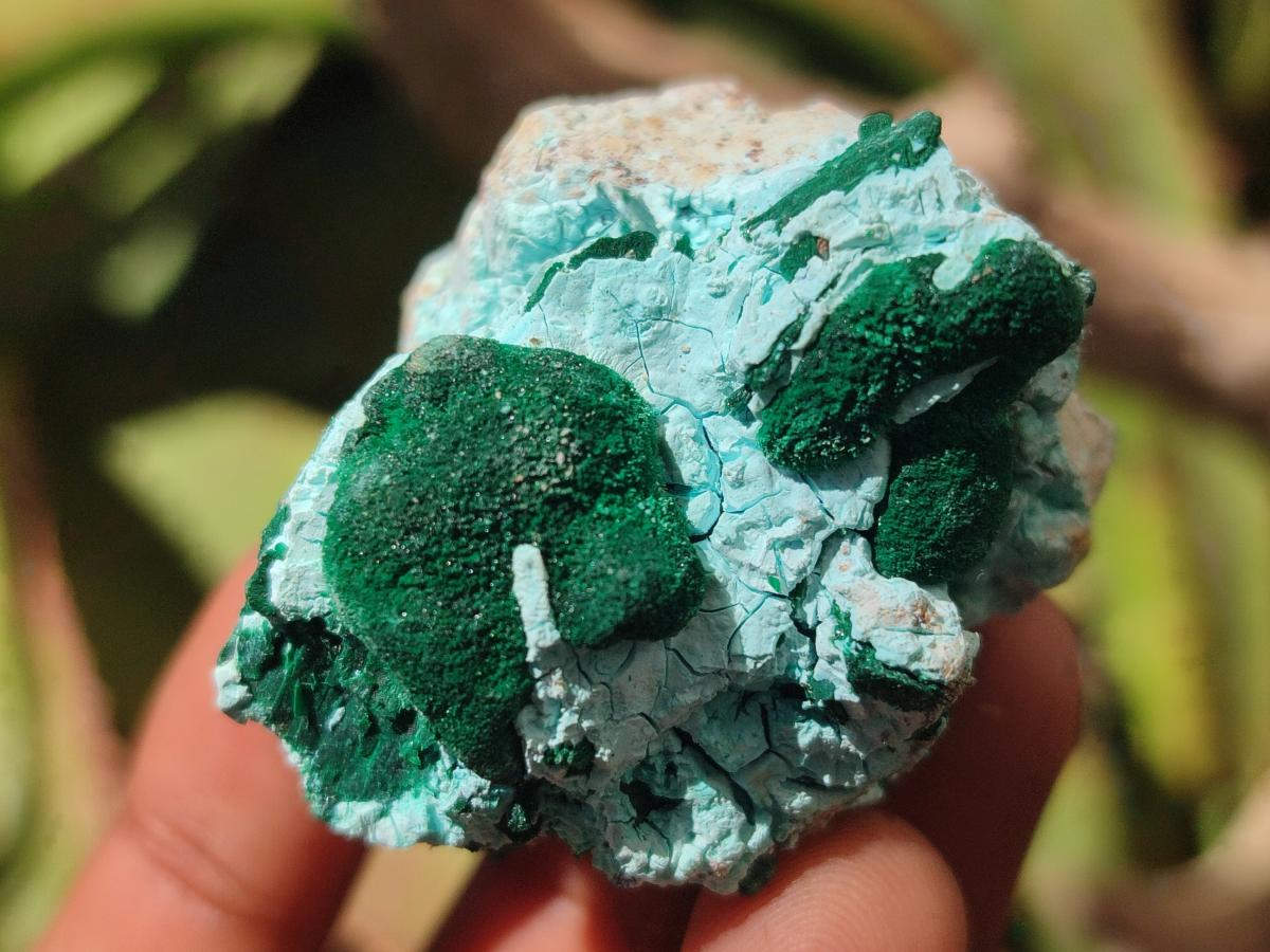 Natural Rare Malachite Pseudomorph Specimens x 12 From Kolwezi, Congo