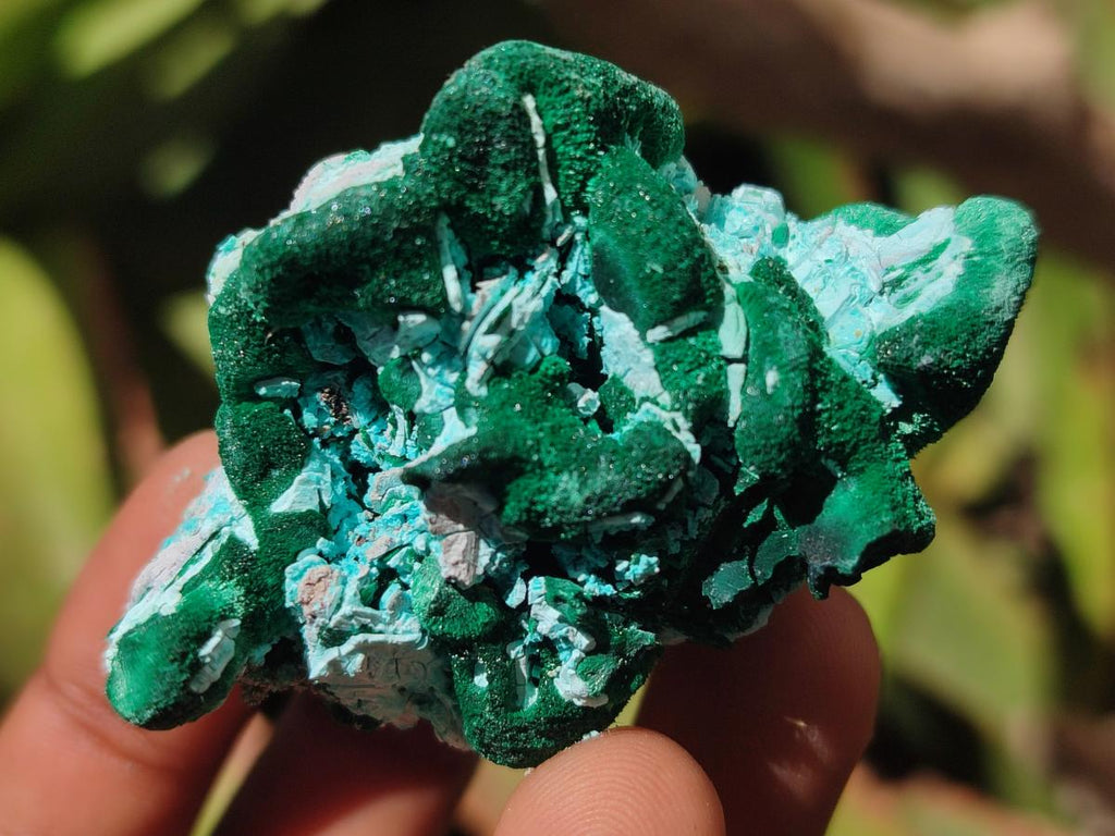 Natural Rare Malachite Pseudomorph Specimens x 12 From Kolwezi, Congo