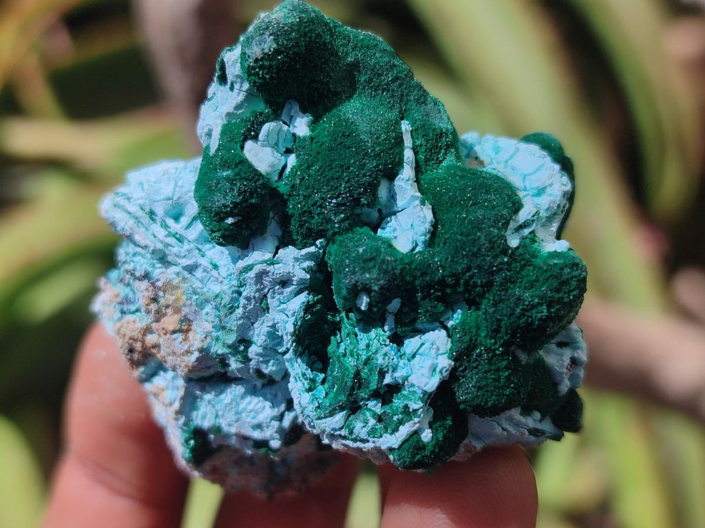 Natural Rare Malachite Pseudomorph Specimens x 12 From Kolwezi, Congo
