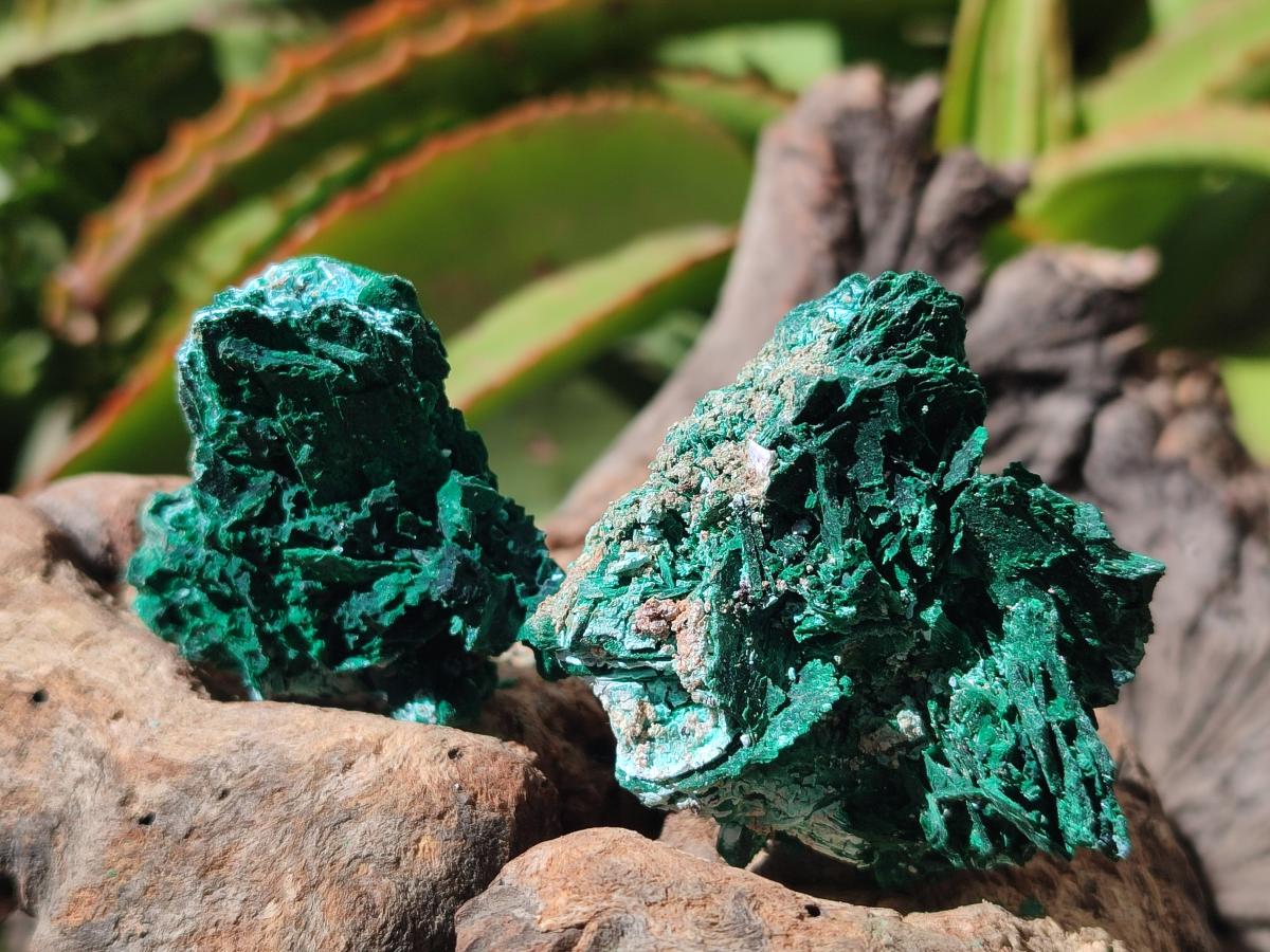 Natural Rare Malachite Pseudomorph Specimens x 12 From Kolwezi, Congo