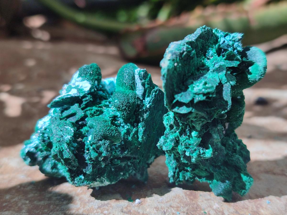 Natural Rare Malachite Pseudomorph Specimens x 12 From Kolwezi, Congo