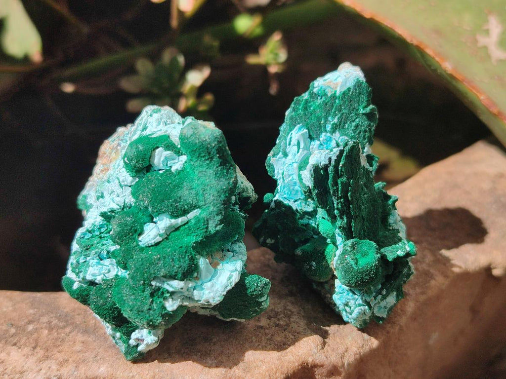 Natural Rare Malachite Pseudomorph Specimens x 12 From Kolwezi, Congo