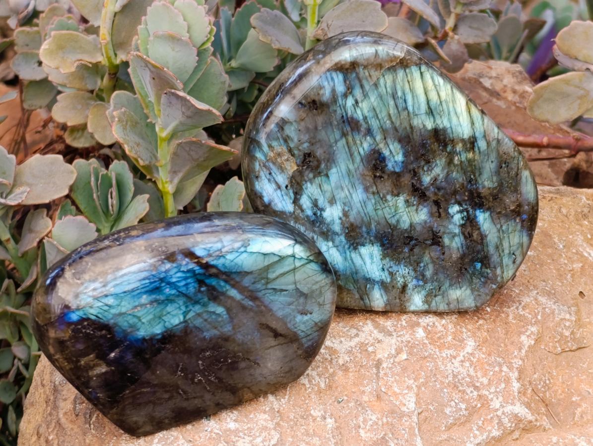 Polished Labradorite Standing Free Forms x 3 From Madagascar