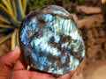 Polished Labradorite Standing Free Forms x 3 From Madagascar