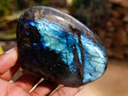 Polished Labradorite Standing Free Forms x 3 From Madagascar
