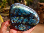 Polished Labradorite Standing Free Forms x 3 From Madagascar