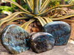 Polished Labradorite Standing Free Forms x 3 From Madagascar