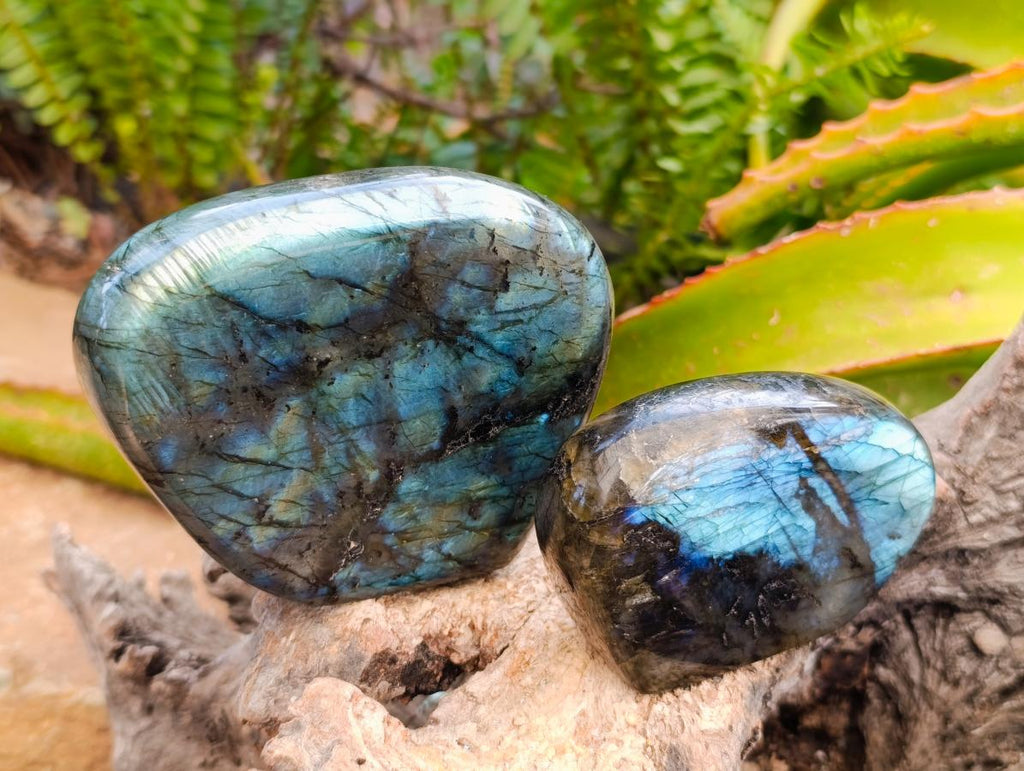 Polished Labradorite Standing Free Forms x 3 From Madagascar
