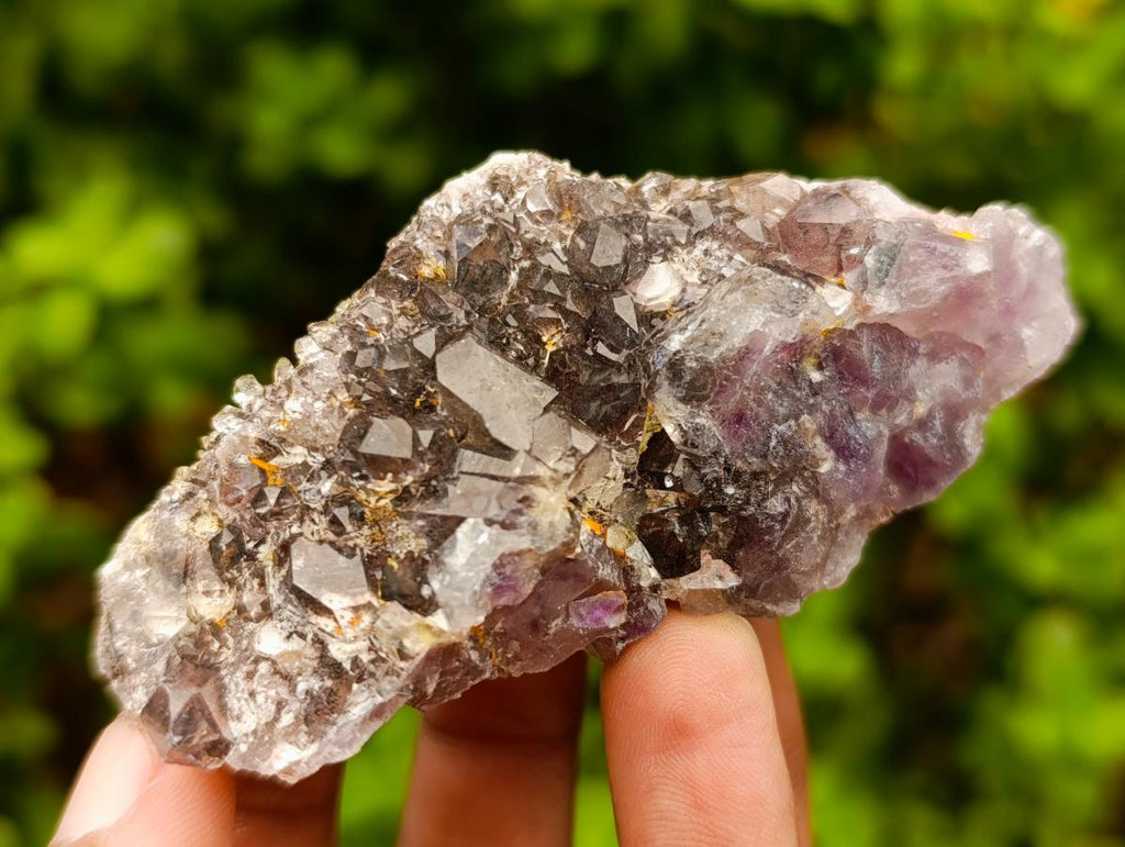 Natural Rare Amethyst Asylum Quartz Clusters x 12 From Luena, Congo