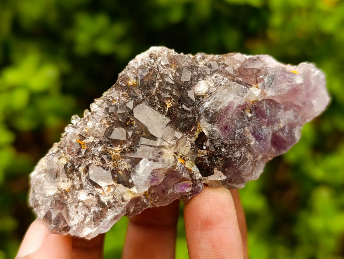 Natural Rare Amethyst Asylum Quartz Clusters x 12 From Luena, Congo