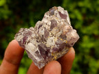 Natural Rare Amethyst Asylum Quartz Clusters x 12 From Luena, Congo