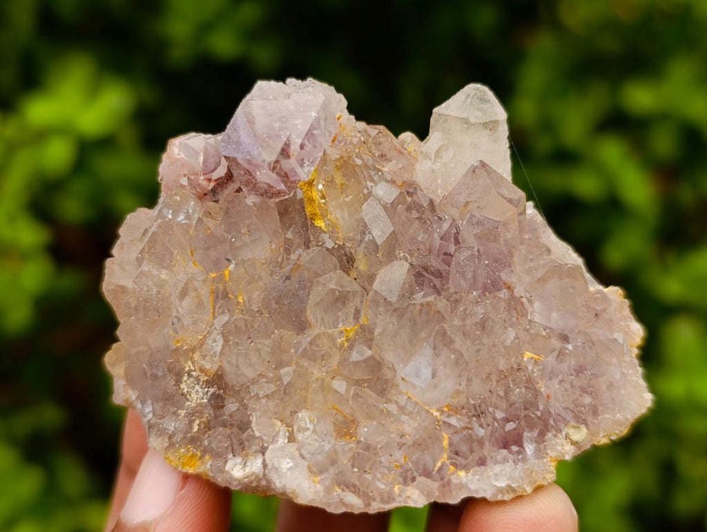 Natural Rare Amethyst Asylum Quartz Clusters x 12 From Luena, Congo