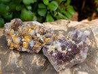 Natural Rare Amethyst Asylum Quartz Clusters x 12 From Luena, Congo