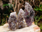 Natural Rare Amethyst Asylum Quartz Clusters x 12 From Luena, Congo