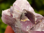Natural Rare Amethyst Asylum Quartz Clusters x 12 From Luena, Congo