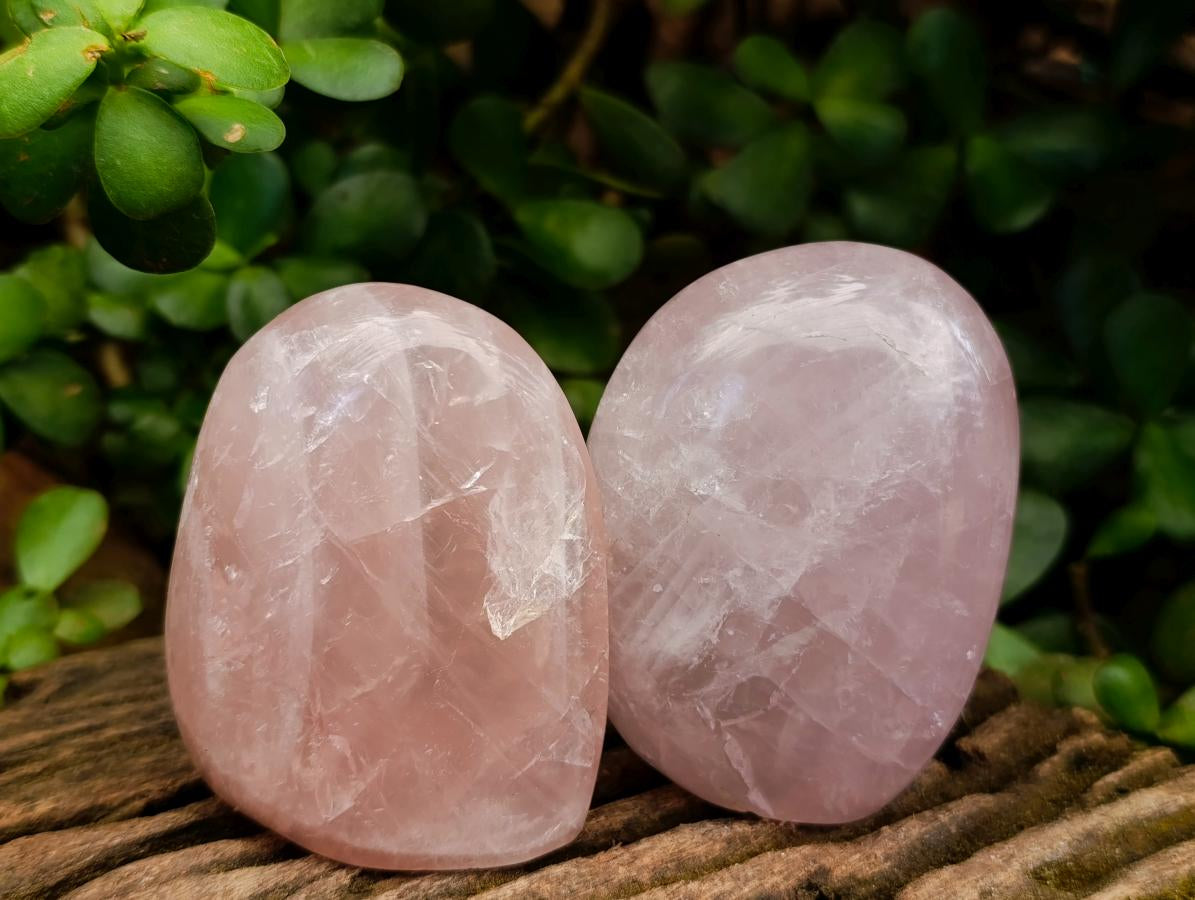 Polished Gemmy Rose Quartz Standing Free Forms x 5 From Madagascar