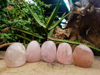 Polished Gemmy Rose Quartz Standing Free Forms x 5 From Madagascar