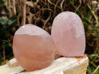 Polished Gemmy Rose Quartz Standing Free Forms x 5 From Madagascar