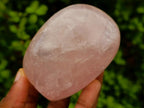 Polished Gemmy Rose Quartz Standing Free Forms x 5 From Madagascar
