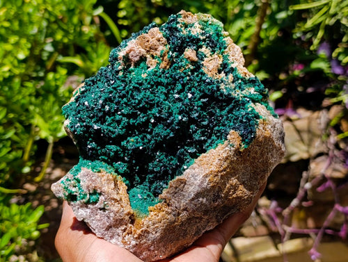 Natural Large Cabinet Crystalline Malachite Specimen x 1 From Kolwezi, Congo
