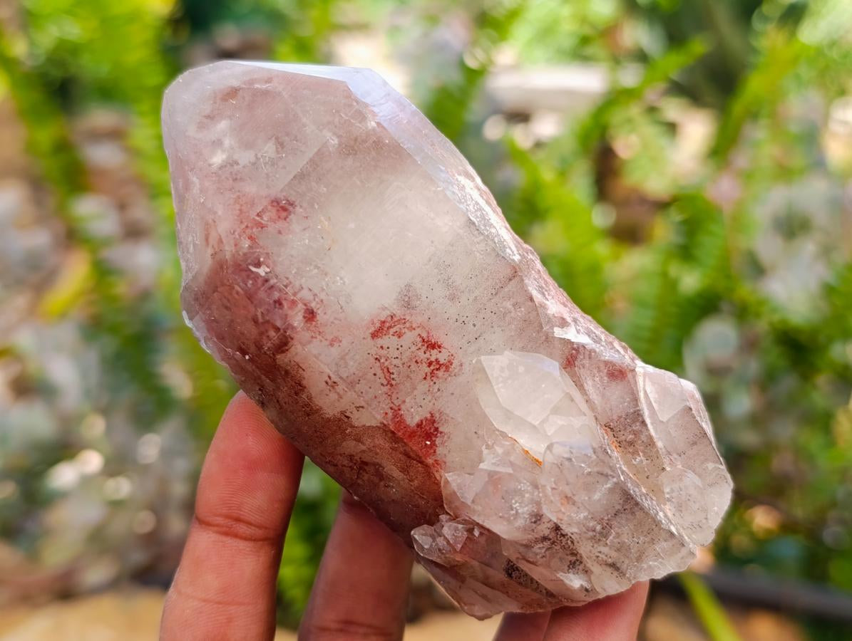 Natural Red Hematoid Quartz Crystals x 8 From Karoi, Zimbabwe