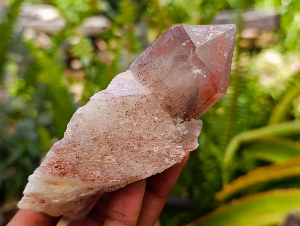 Natural Red Hematoid Quartz Crystals x 8 From Karoi, Zimbabwe