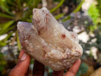Natural Red Hematoid Quartz Crystals x 8 From Karoi, Zimbabwe