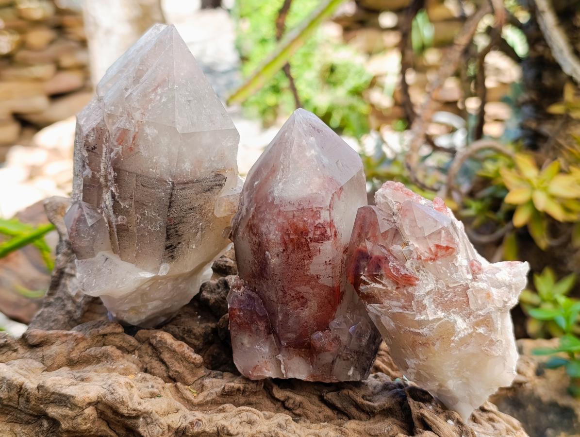 Natural Red Hematoid Quartz Crystals x 8 From Karoi, Zimbabwe
