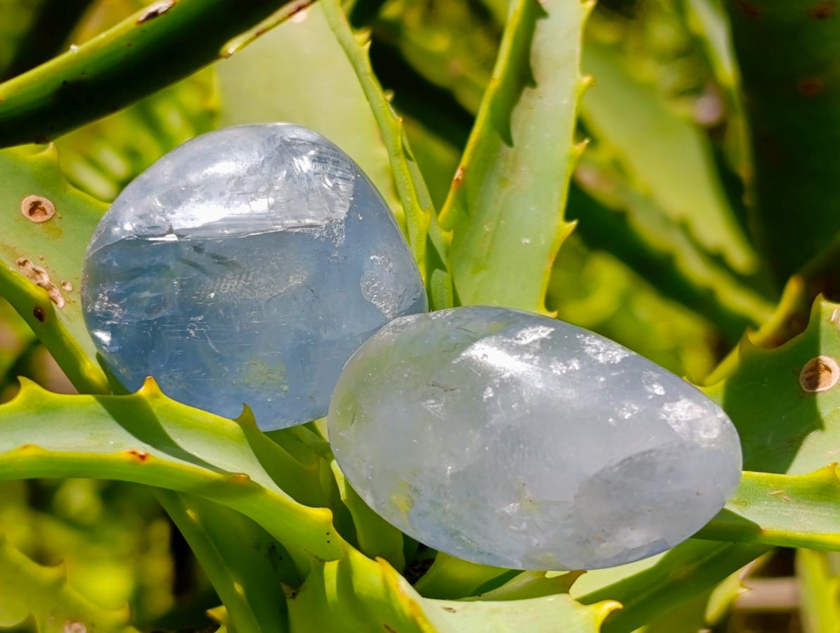 Polished Blue Celestite Free Form Crystals x 35 From Sakoany, Madagascar - Toprock Gemstones and Minerals 