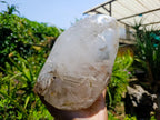 Polished Large Smokey Window Quartz Standing Free Form x 1 From Madagascar