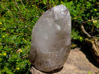 Polished Large Smokey Window Quartz Standing Free Form x 1 From Madagascar